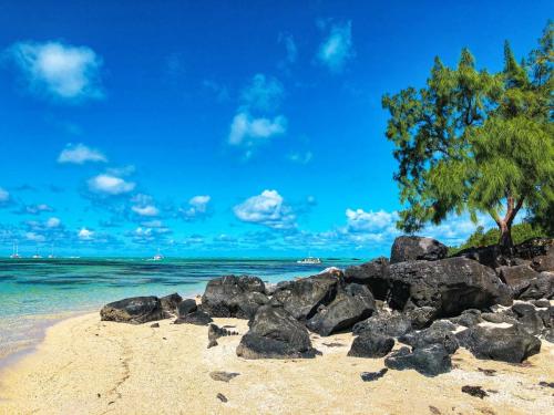 Ile Aux Cerfs