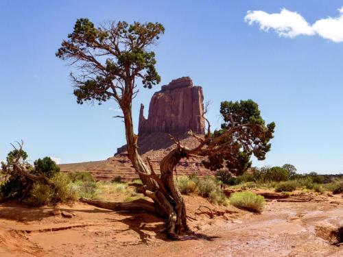 Monument Valley, Elephant